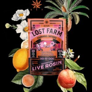 Tropical Lemonade x Do-Si-Dos Gummies